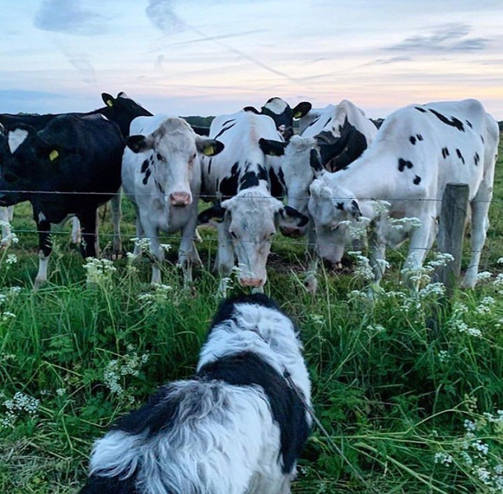 The 10 Best Newfoundland Photos from 2020