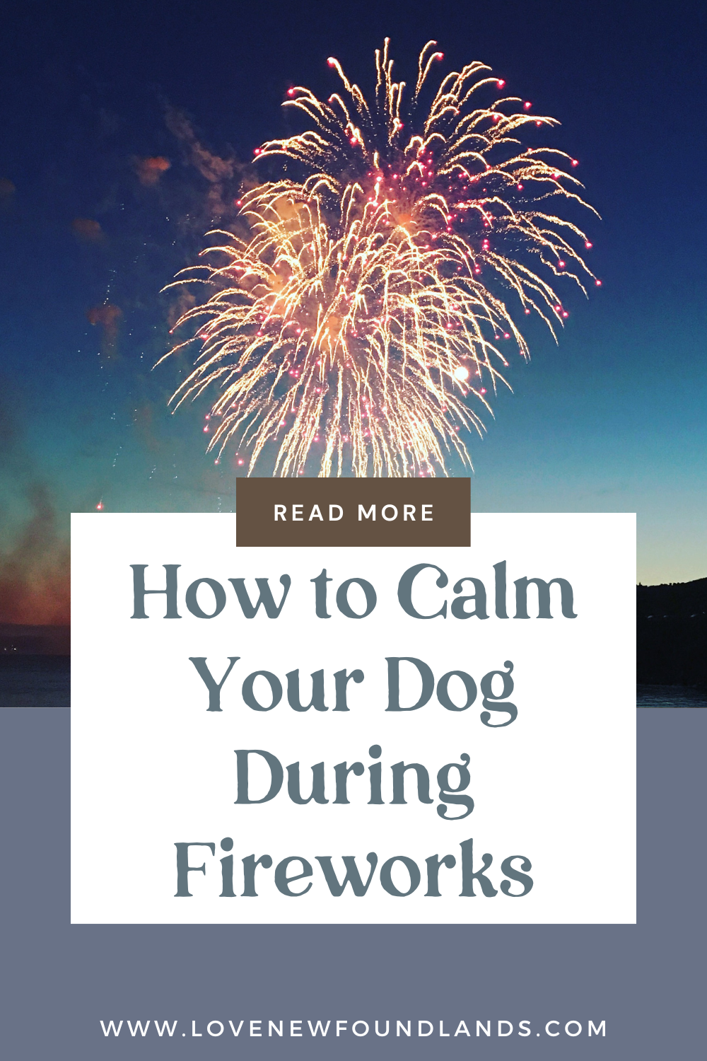 How to Calm Your Dog During Fireworks - Love Newfoundlands
